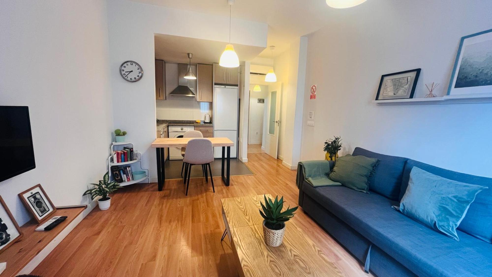 Apartment Homely Plaza Montano
